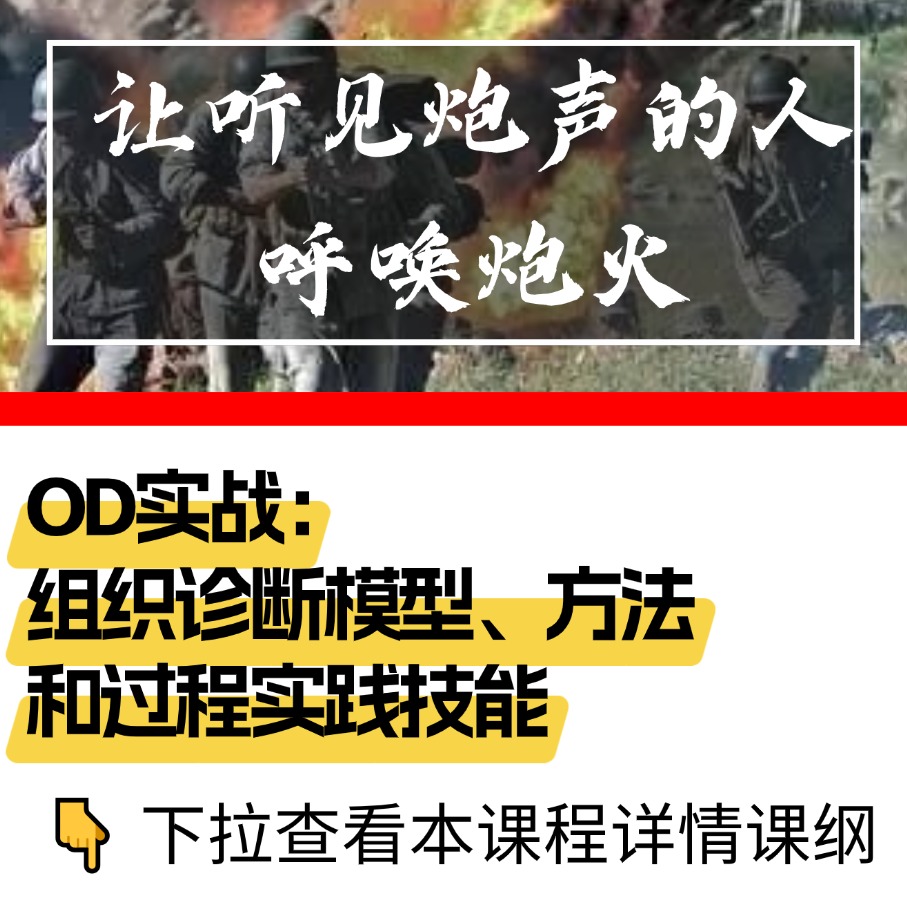 OD实战：组织诊断模型、方法和过程实践技能